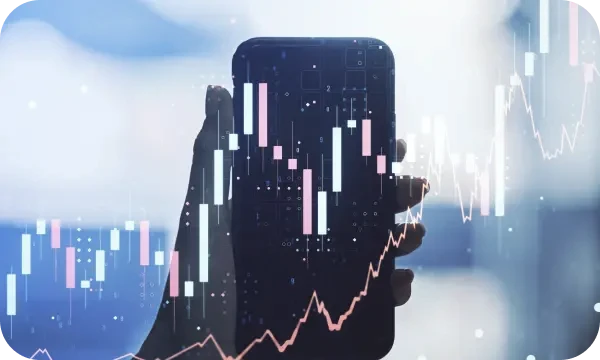 Kapitalmanagement Plattform